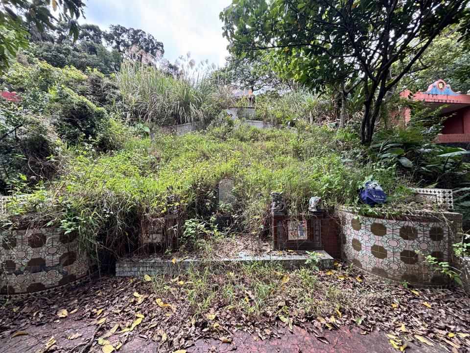 園藝維護案件圖片