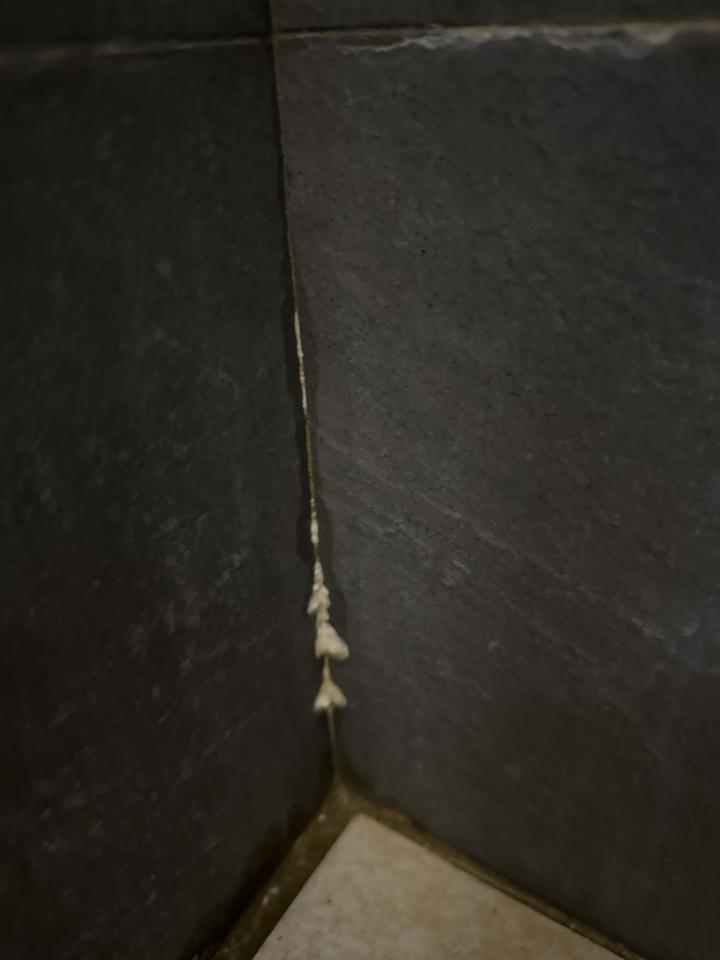 漏水處理案件圖片