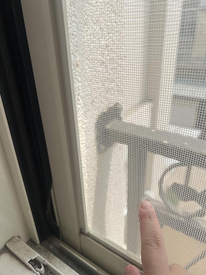 紗窗裝修案件圖片