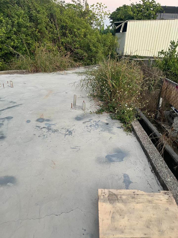 園藝維護案件圖片