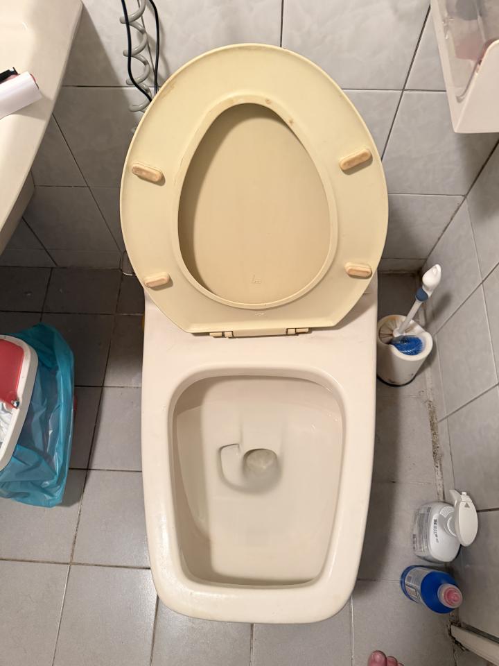 免治馬桶裝修案件圖片