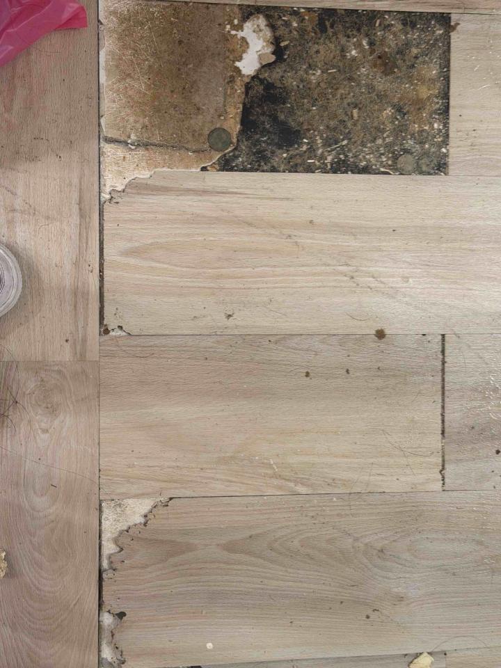 居家修繕案件圖片