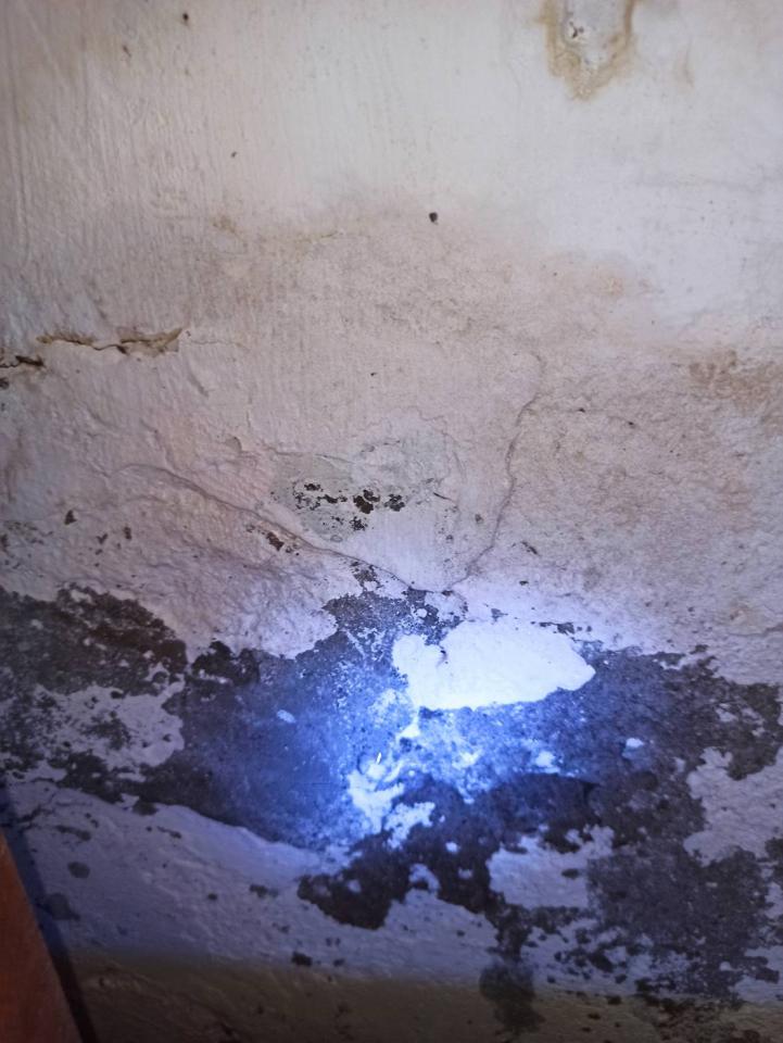 漏水處理案件圖片