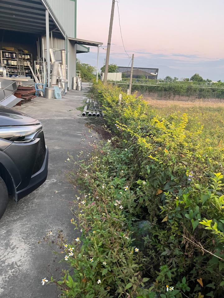 園藝維護案件圖片