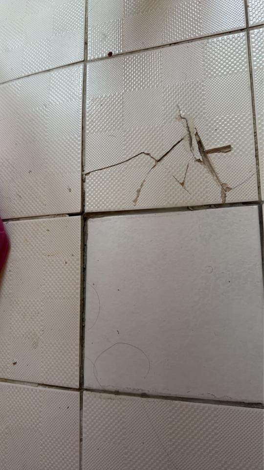 泥作/水泥施工案件圖片