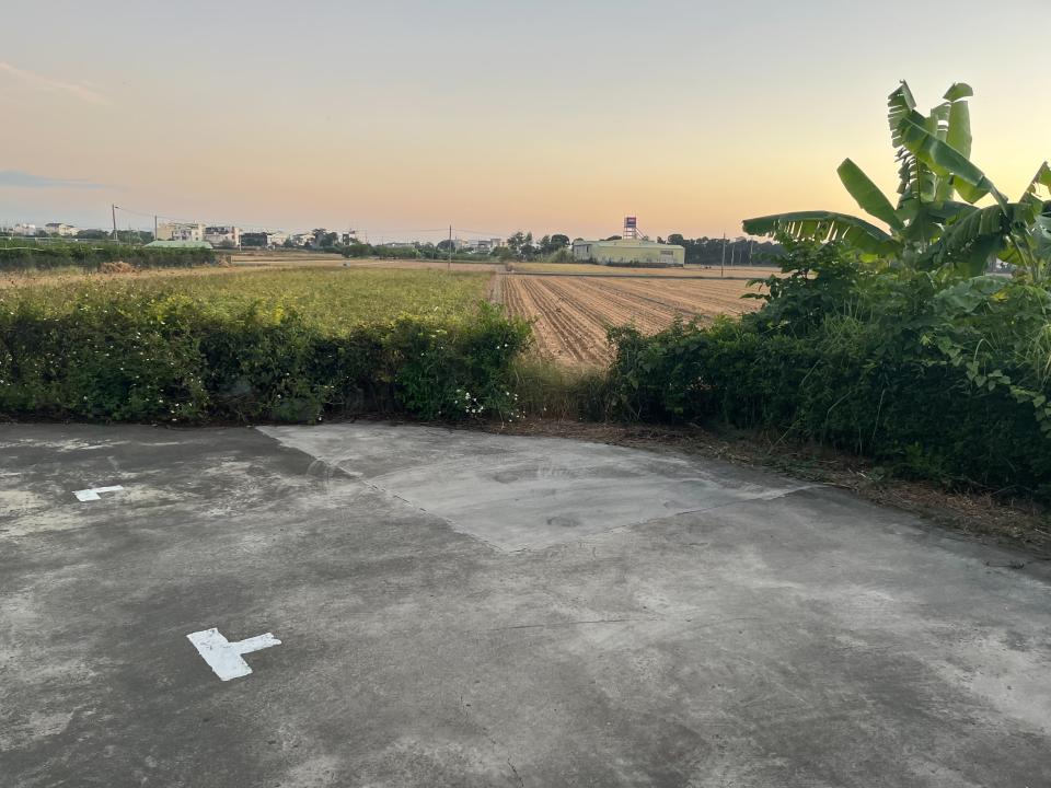 園藝維護案件圖片