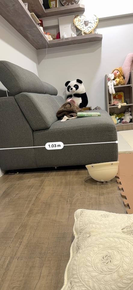 家具搬運案件圖片