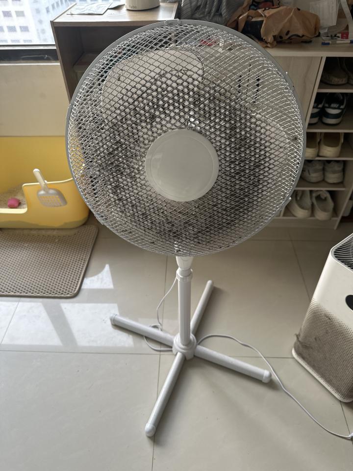 大型垃圾回收案件圖片