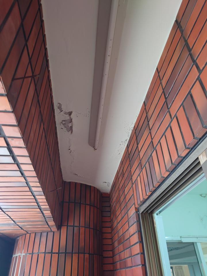 漏水鑑定案件圖片