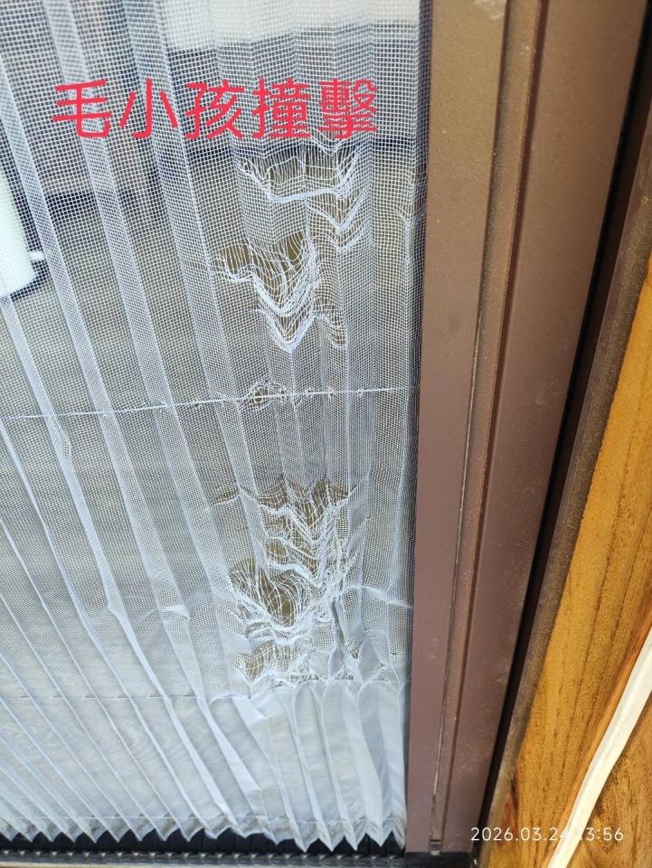 紗窗裝修案件圖片