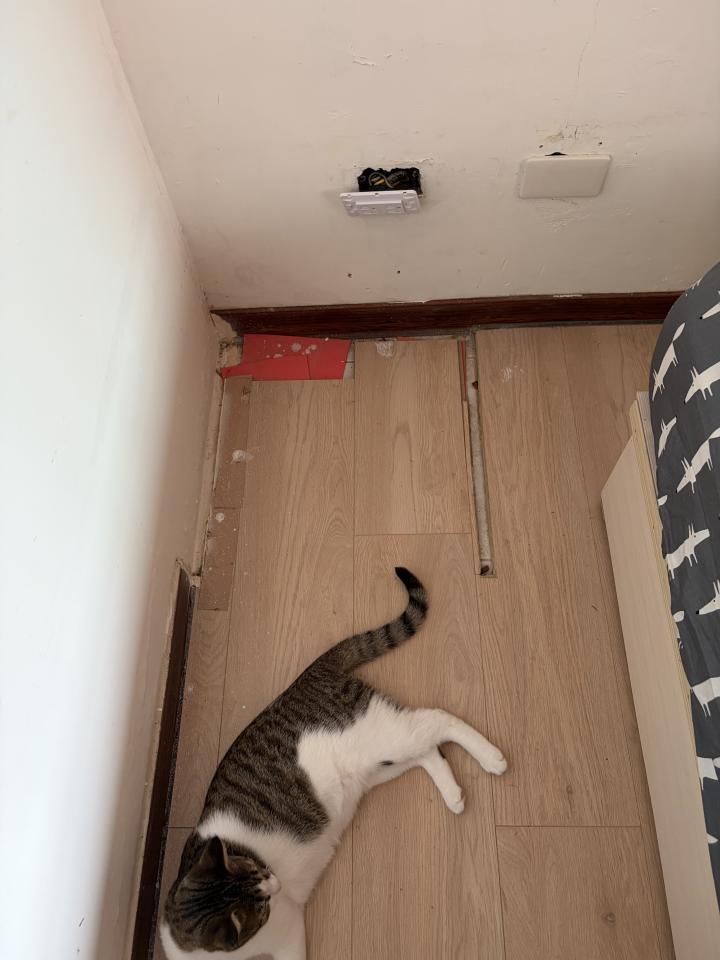 地板維修案件圖片