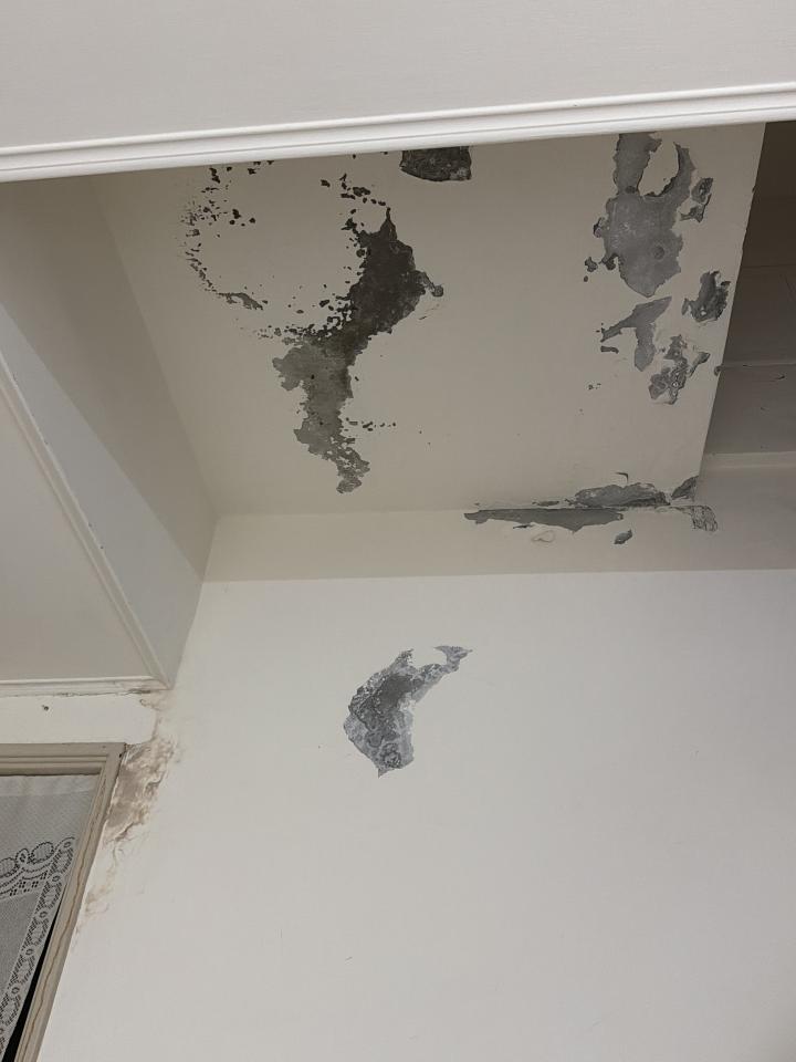 壁癌處理案件圖片