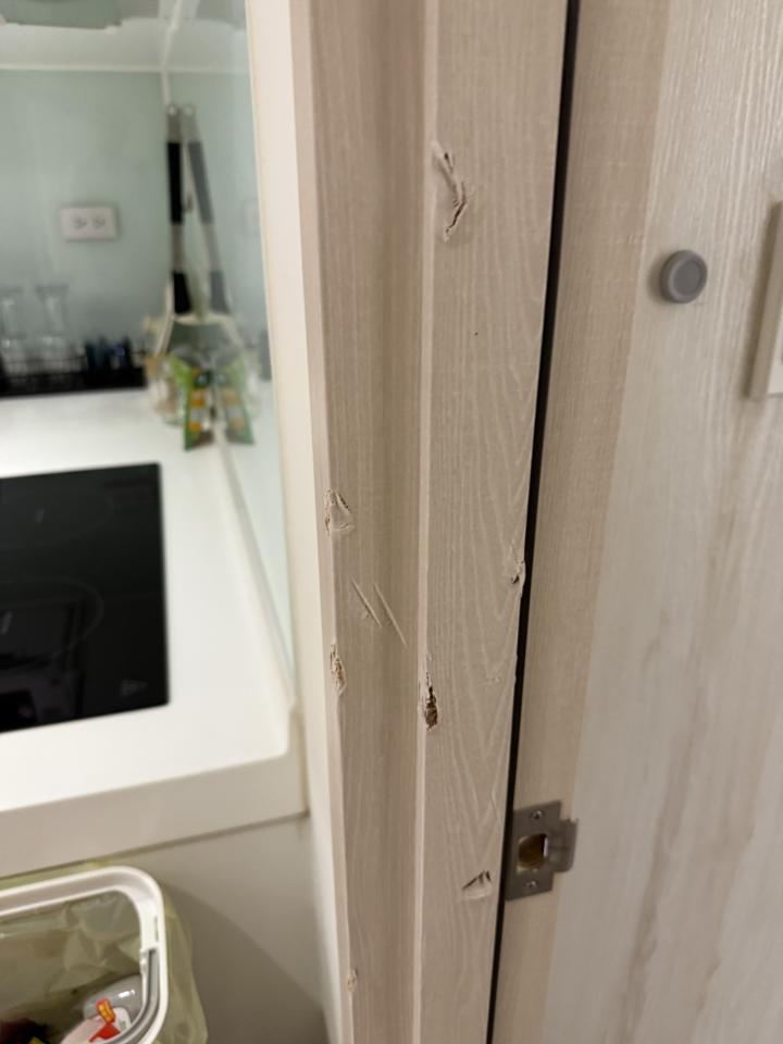 門片維修案件圖片