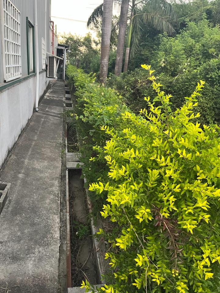 園藝維護案件圖片
