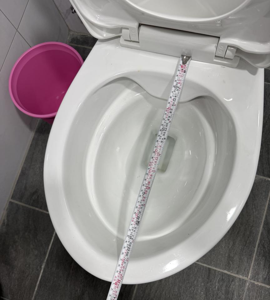 馬桶裝修案件圖片