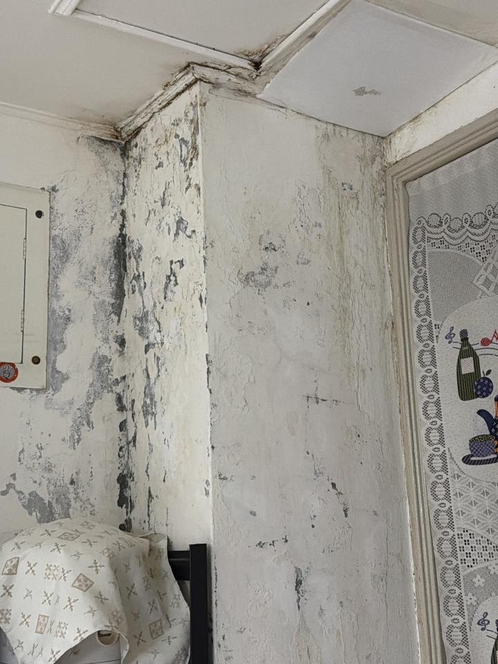 壁癌處理案件圖片