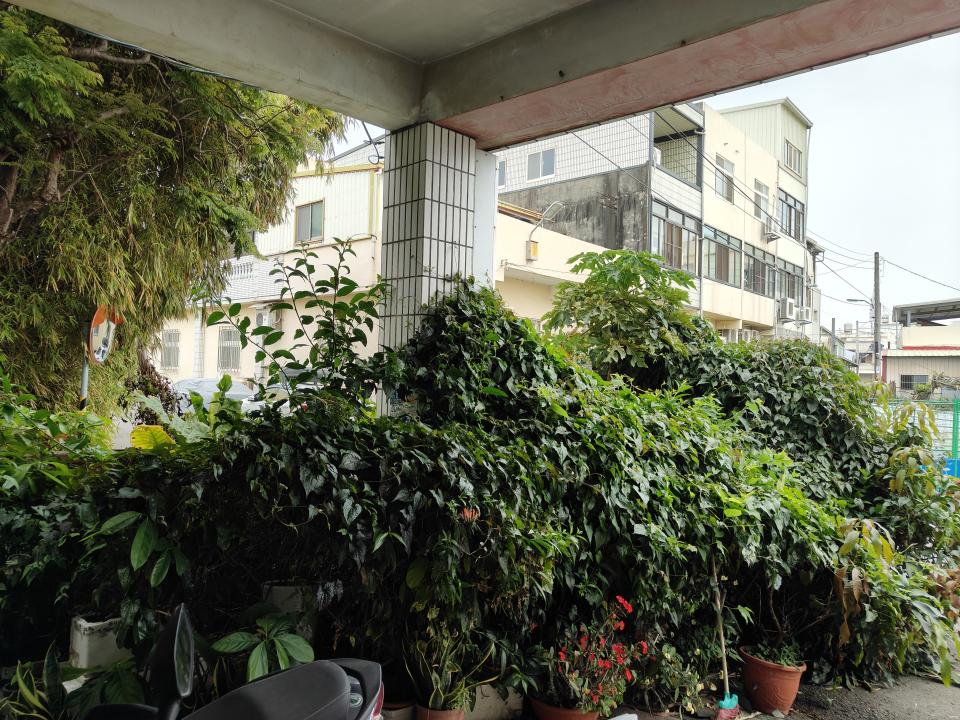 園藝維護案件圖片