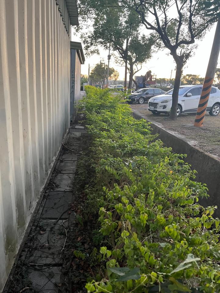 園藝維護案件圖片