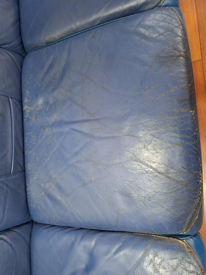 沙發修理案件圖片