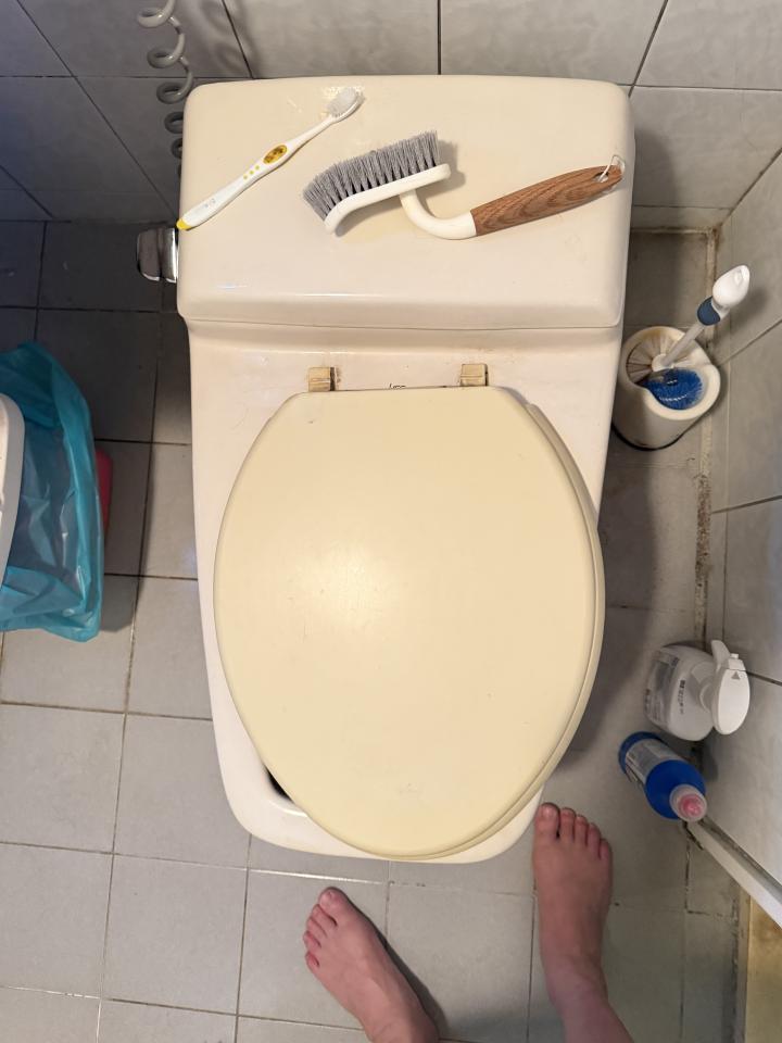 免治馬桶裝修案件圖片