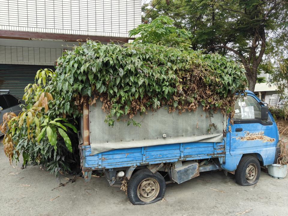 園藝維護案件圖片