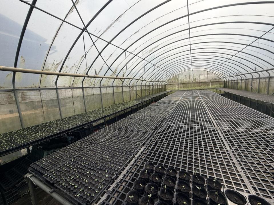 遮陽網工程案件圖片