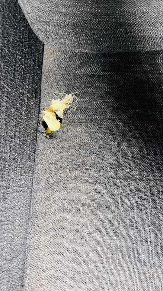 沙發修理案件圖片