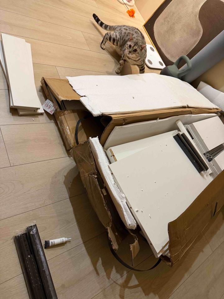 家具組裝案件圖片