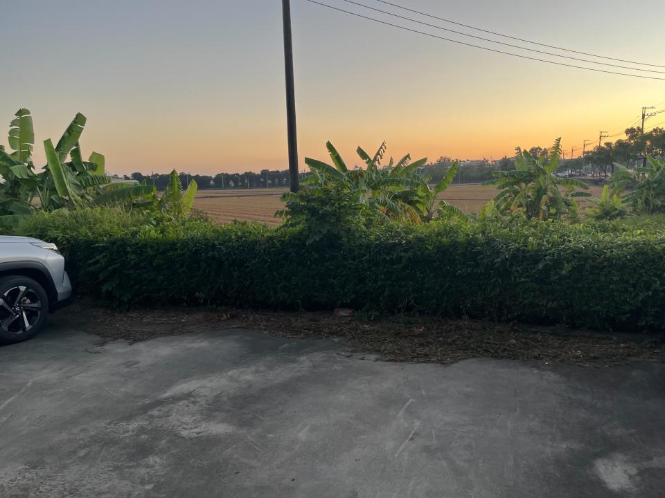 園藝維護案件圖片