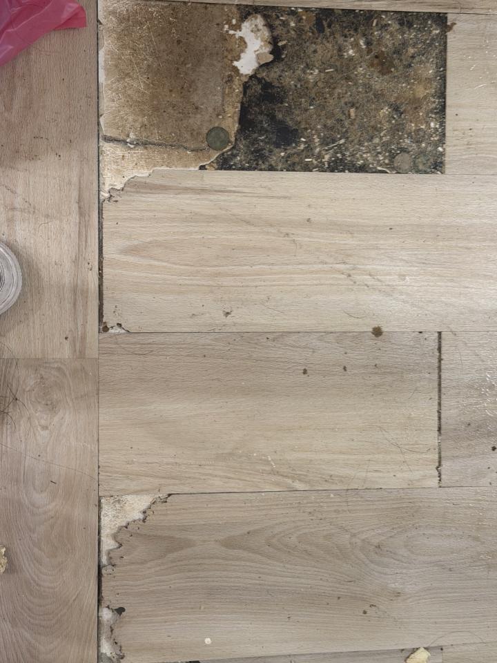 木工施工案件圖片