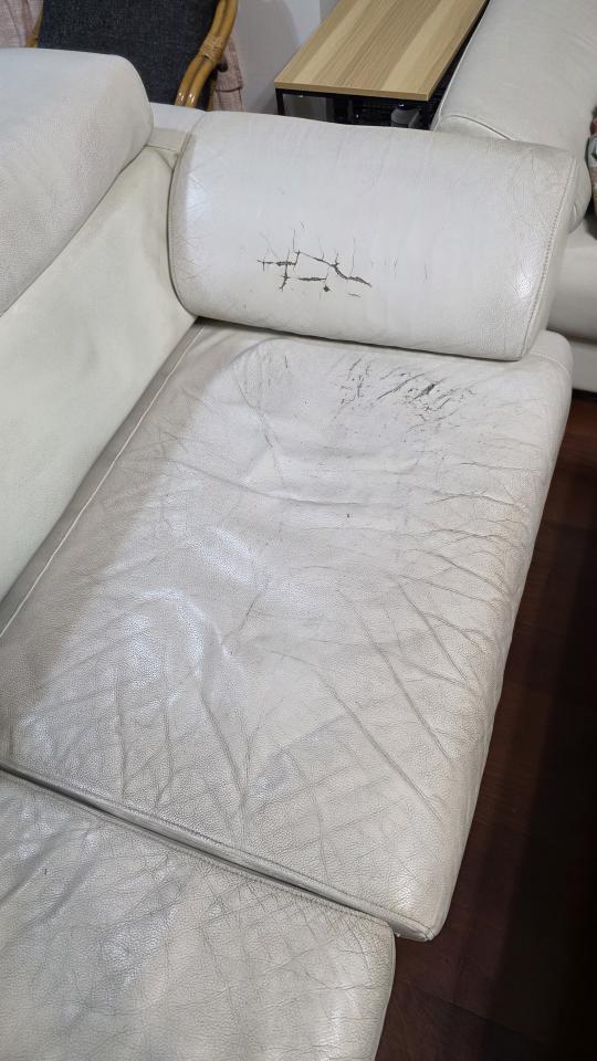 沙發修理案件圖片