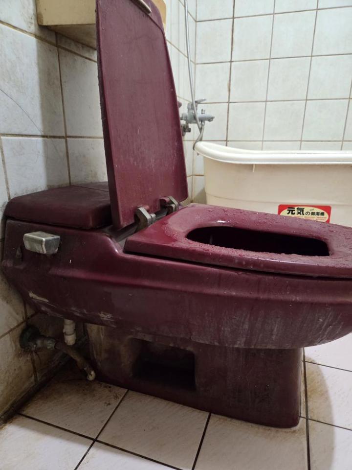 馬桶裝修案件圖片