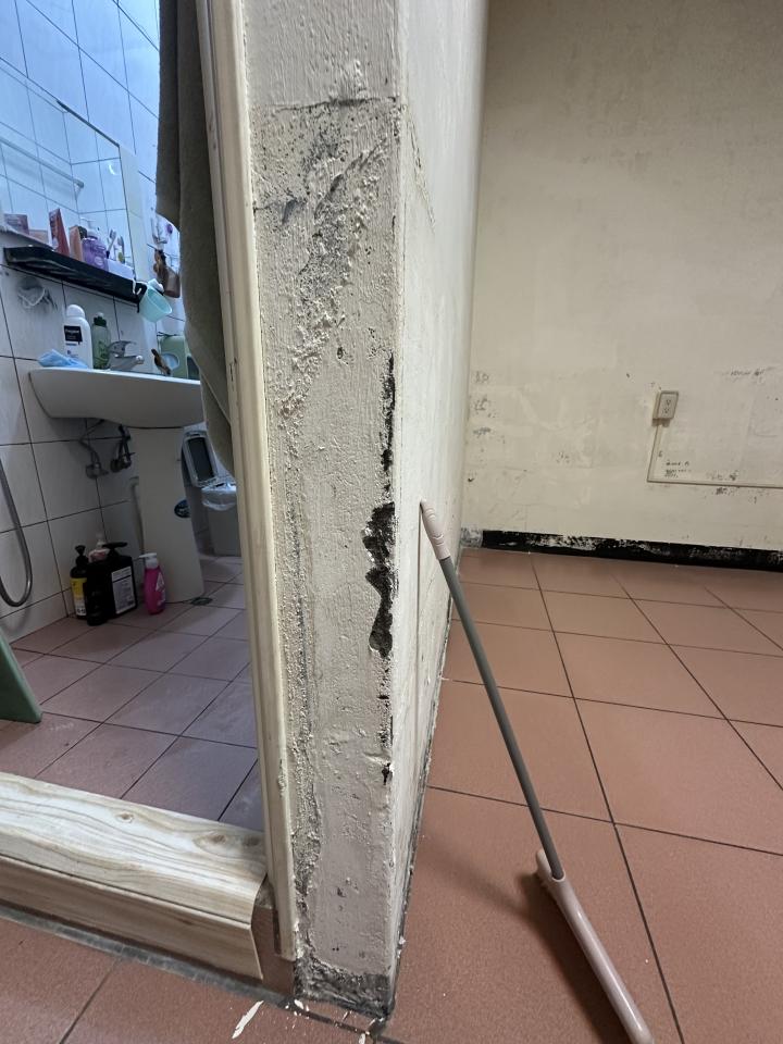 壁癌處理案件圖片