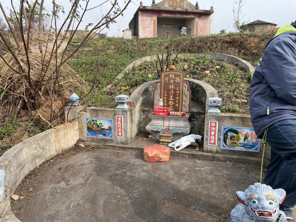 園藝維護案件圖片