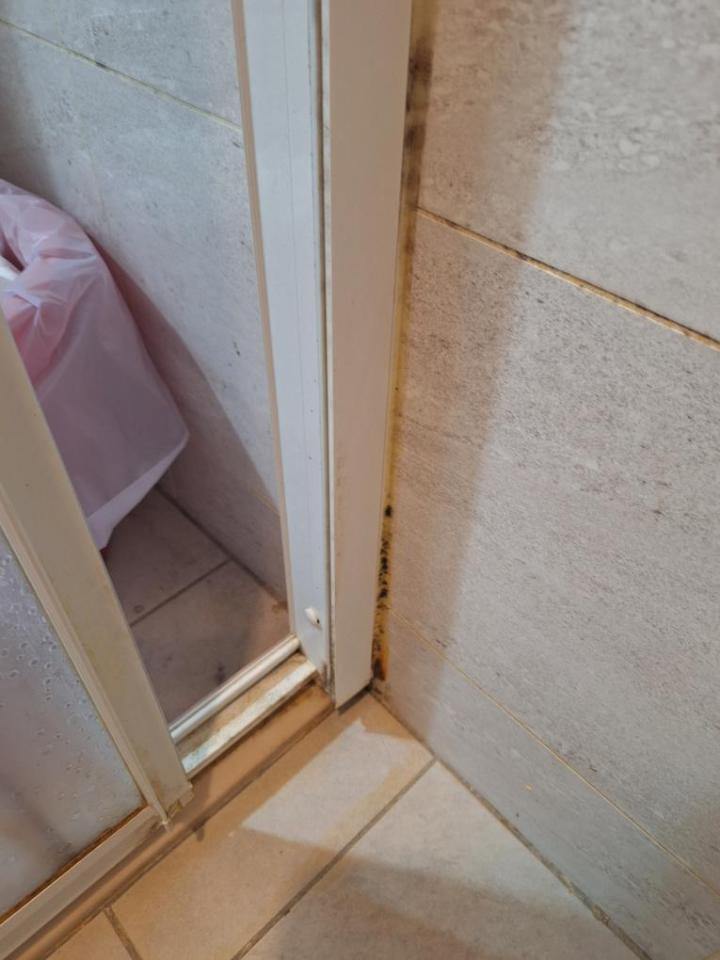 浴室清潔案件圖片