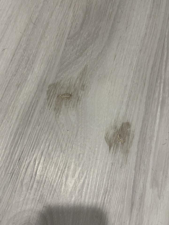 木工施工案件圖片