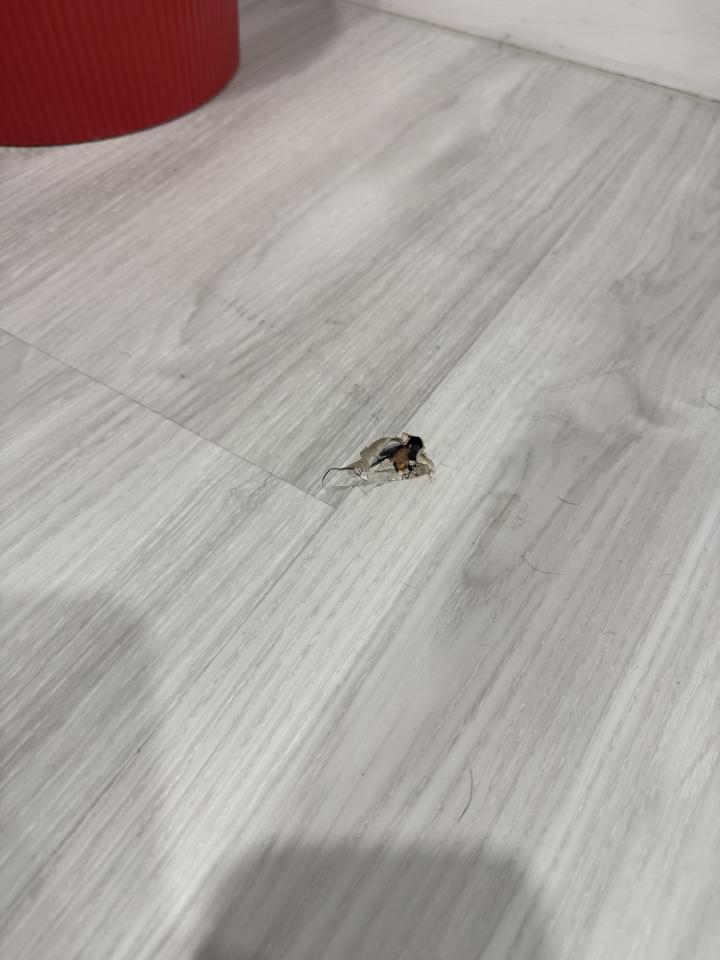 木工施工案件圖片