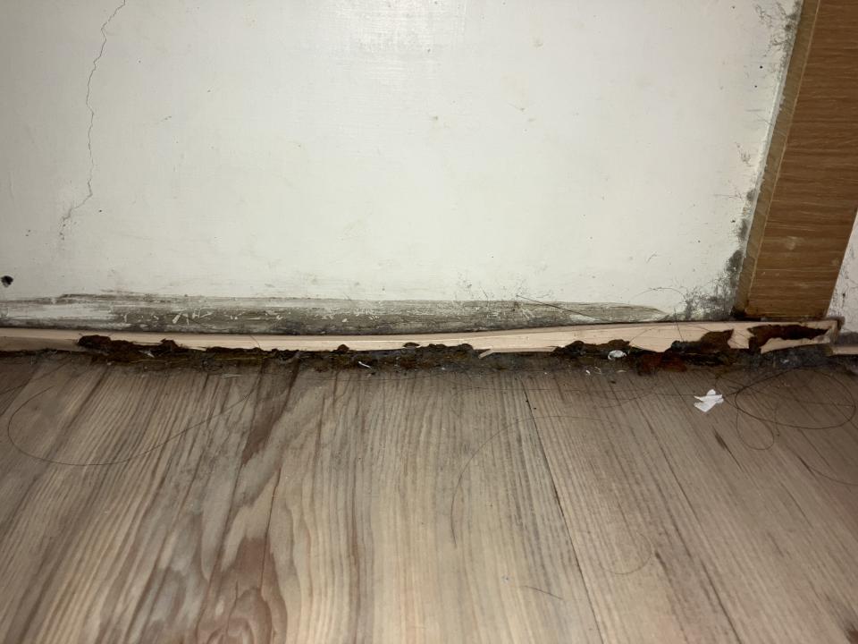 漏水處理案件圖片