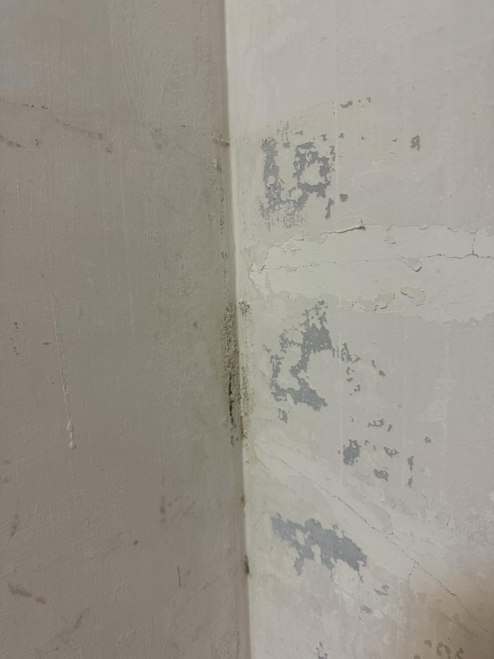 壁癌處理案件圖片