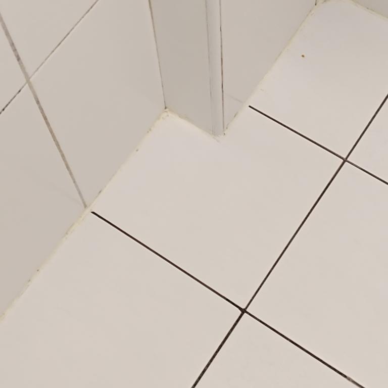 矽利康工程案件圖片