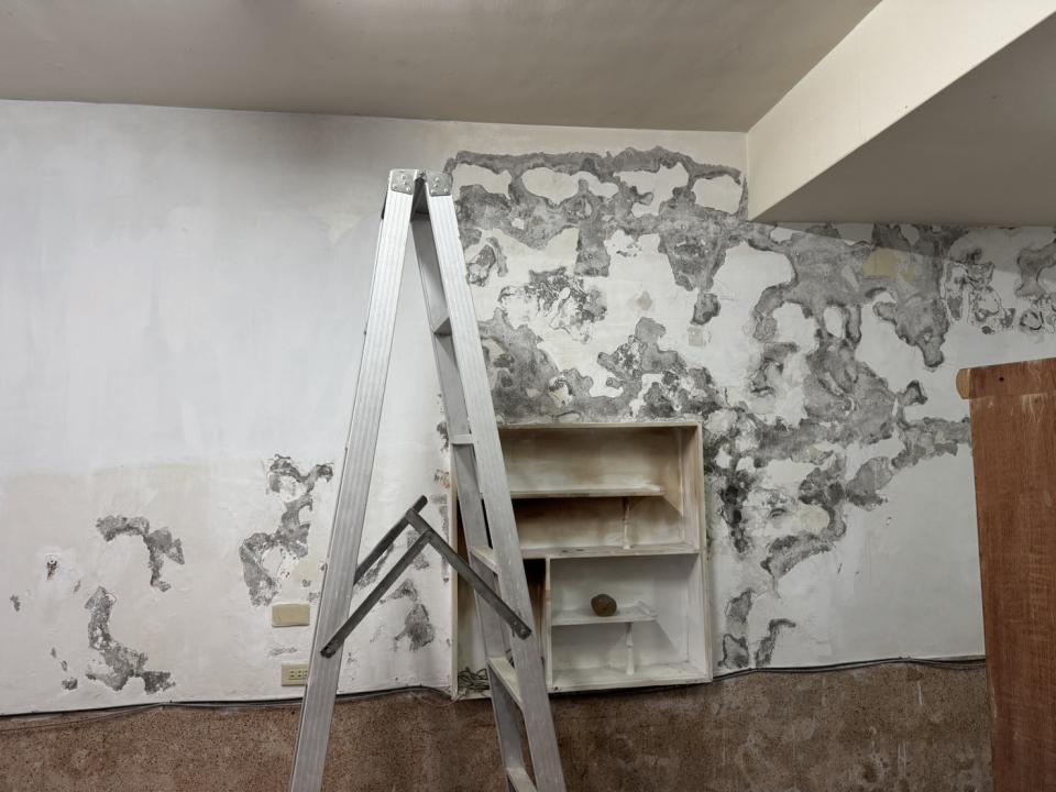 壁紙施工案件圖片