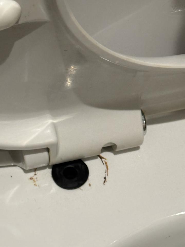 馬桶裝修案件圖片