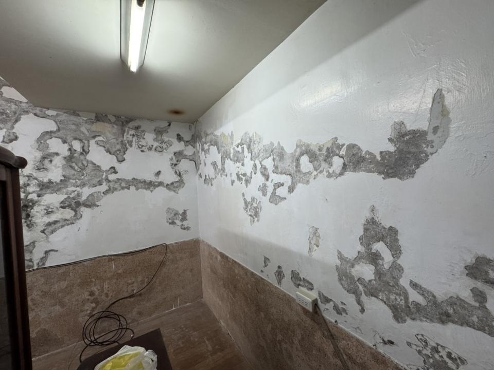 壁紙施工案件圖片