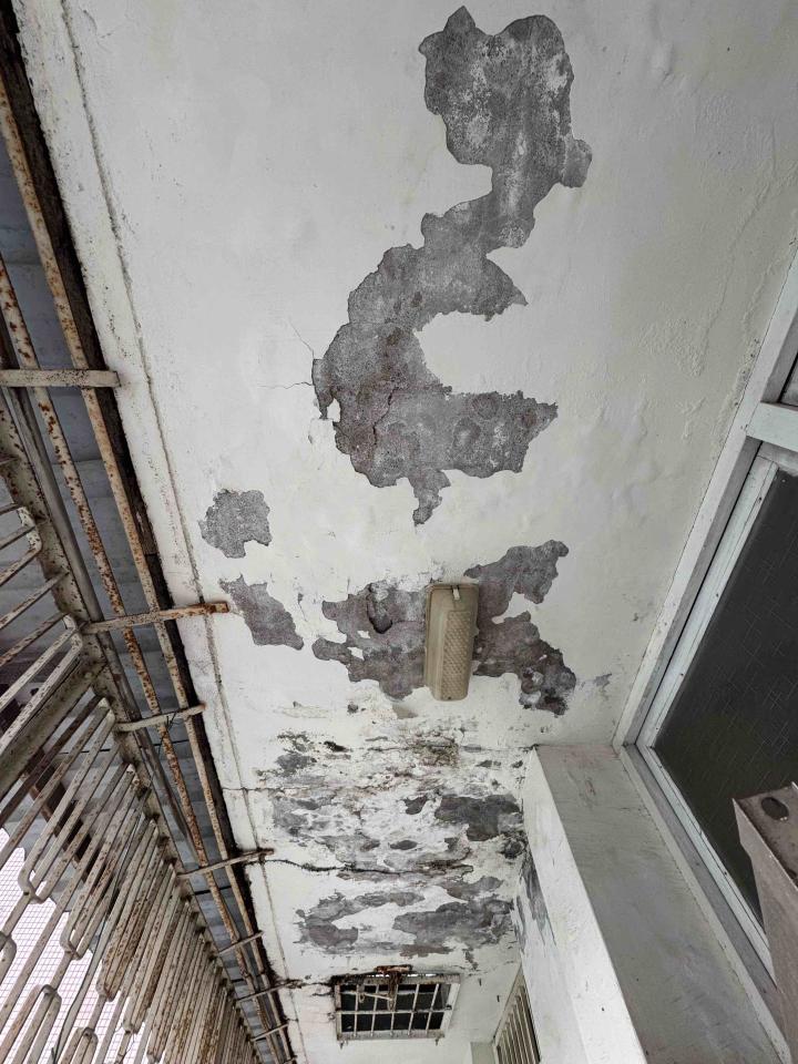 油漆工程案件圖片