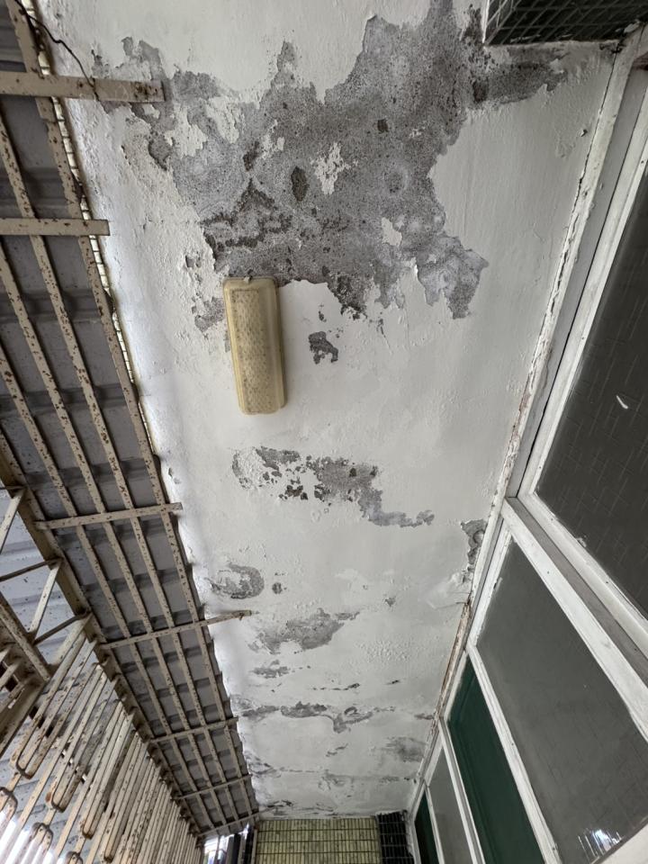 壁紙施工案件圖片