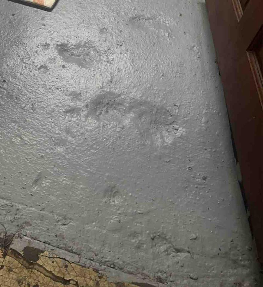 自平水泥案件圖片