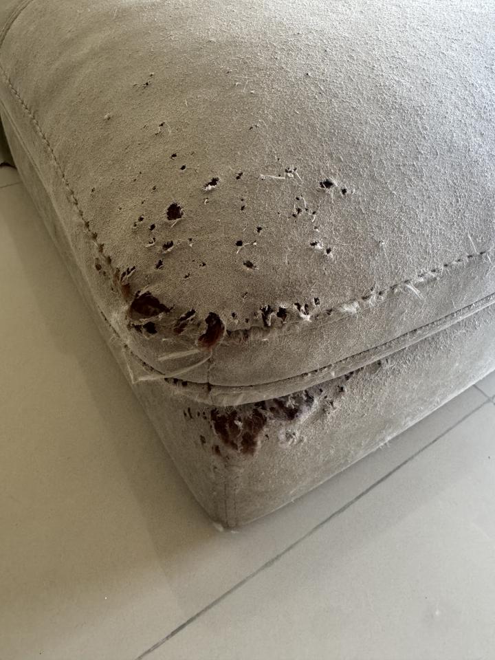 沙發修理案件圖片