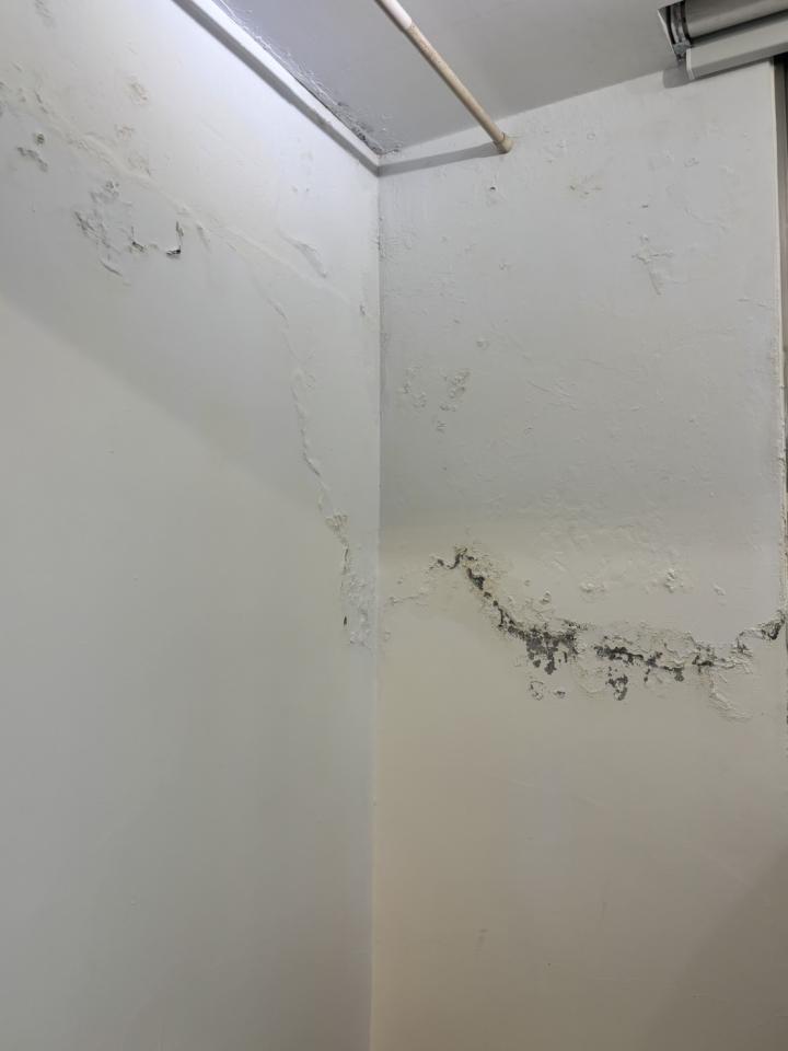 地板施工案件圖片