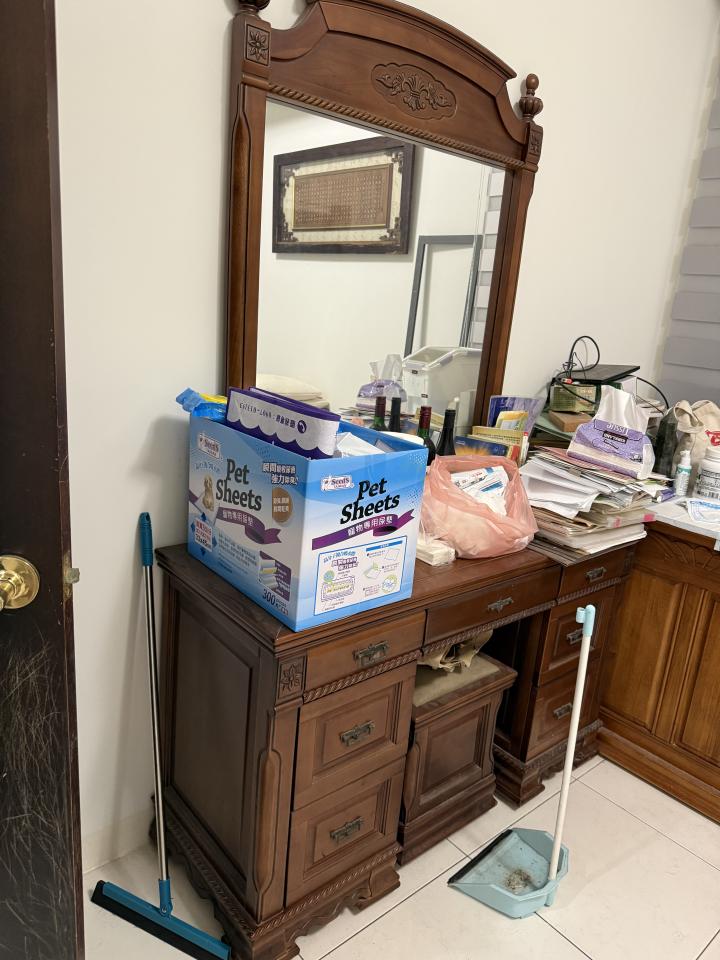 大型垃圾回收案件圖片