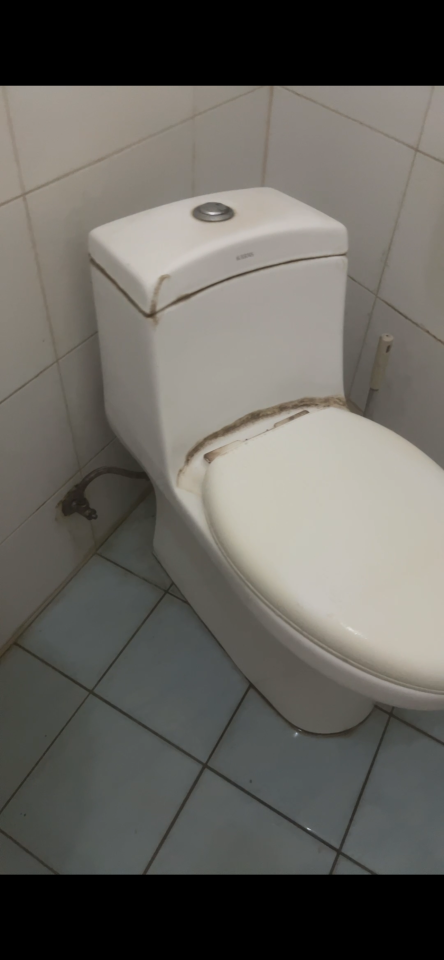 馬桶裝修案件圖片